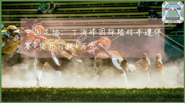 中国足协：丁海峰因踩踏对手遭停赛1场并罚款1万元